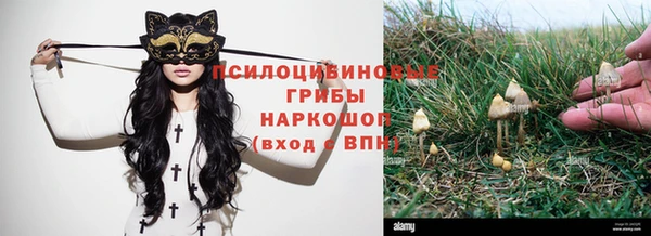 ПСИЛОЦИБИНОВЫЕ ГРИБЫ Магадан