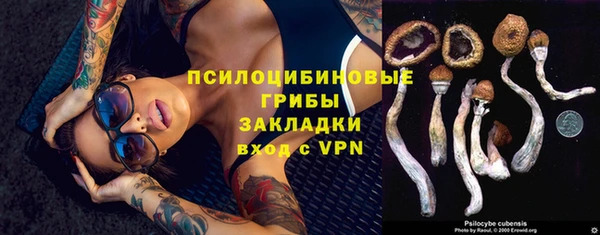 молекула духа Майский
