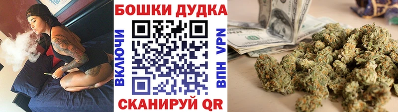 МЕГА маркетплейс  наркошоп  Куртамыш  Марихуана сатива 